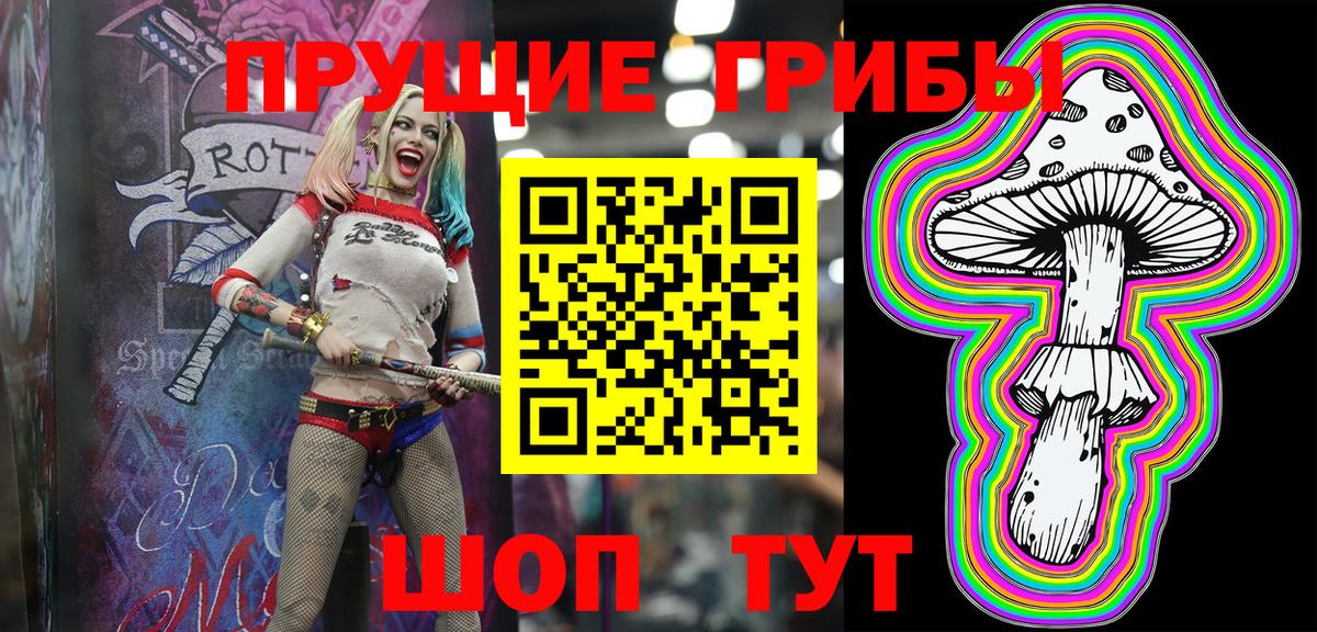 Ачинск  Псилоцибиновые грибы MAGIC MUSHROOMS  Вход с VPN 