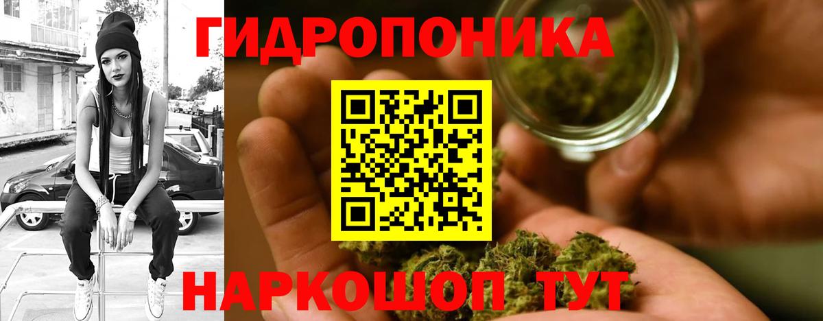 Каннабис индика Ачинск
